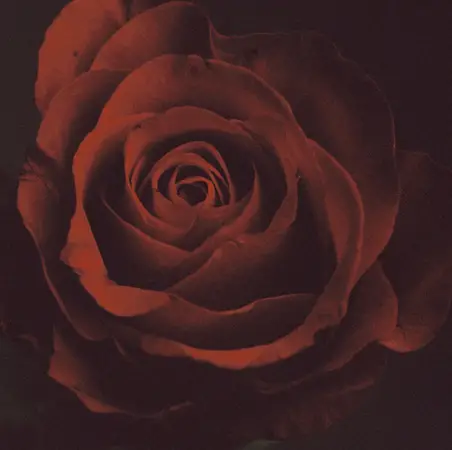 Imminence (SWE) : Tentación